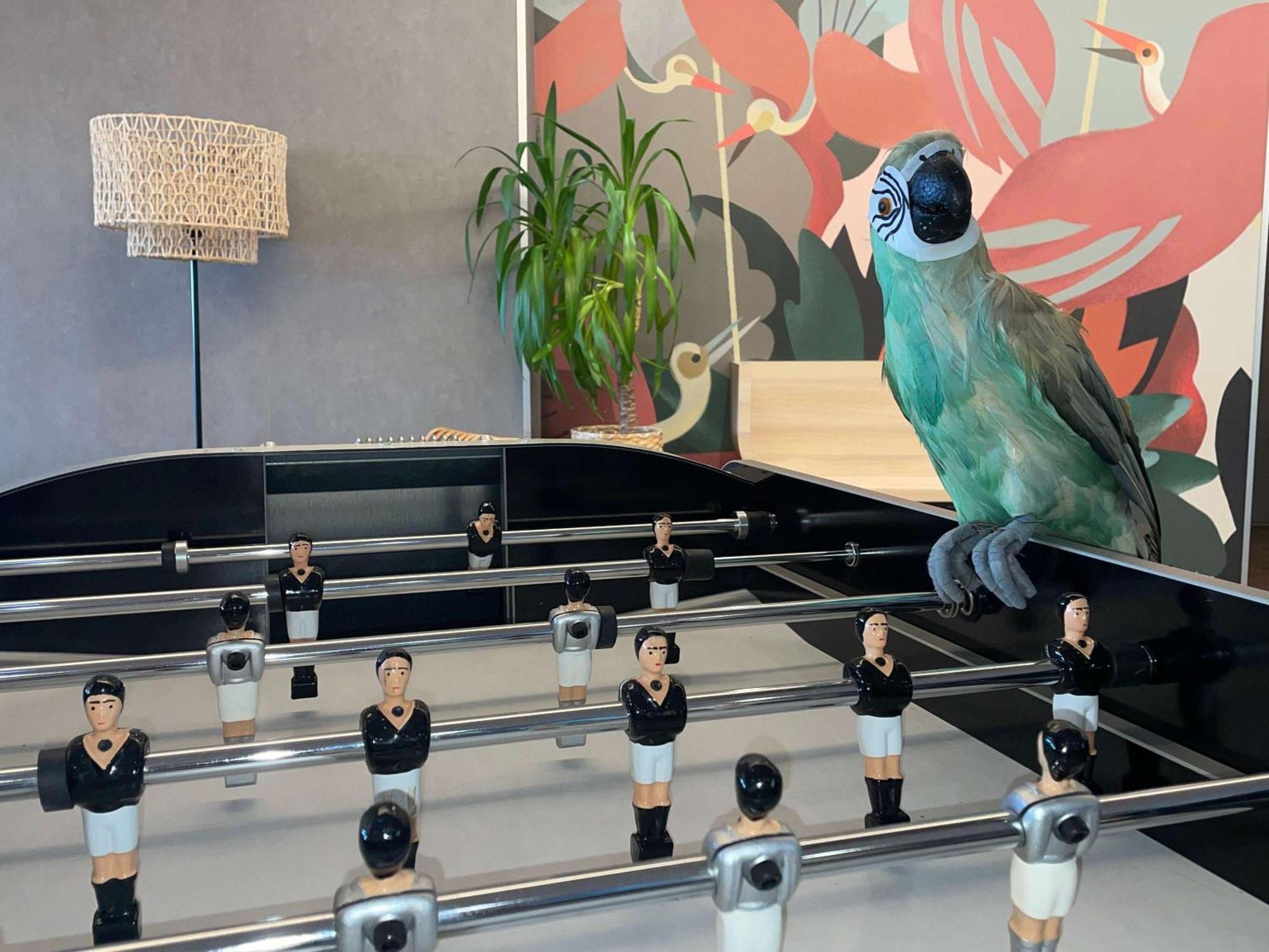 Готель Ibis Styles Rennes Cesson Екстер'єр фото